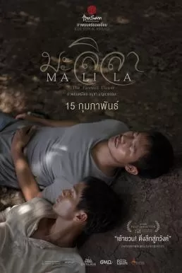 มะลิลา Malila The Farewell Flower