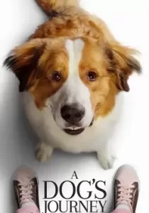 A Dog’s Journey หมา เป้าหมาย และเด็กชายของผม 2