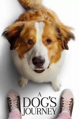 A Dog’s Journey หมา เป้าหมาย และเด็กชายของผม 2