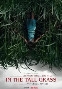 In the Tall Grass พงหลอนมรณะ