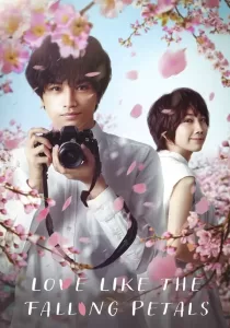 Love Like The Falling Petals ใบไม้ผลิที่ไม่มีเธอเป็นซากุระ