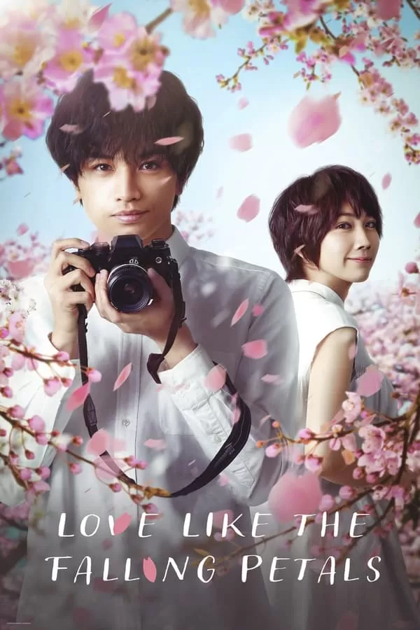 Love Like The Falling Petals ใบไม้ผลิที่ไม่มีเธอเป็นซากุระ