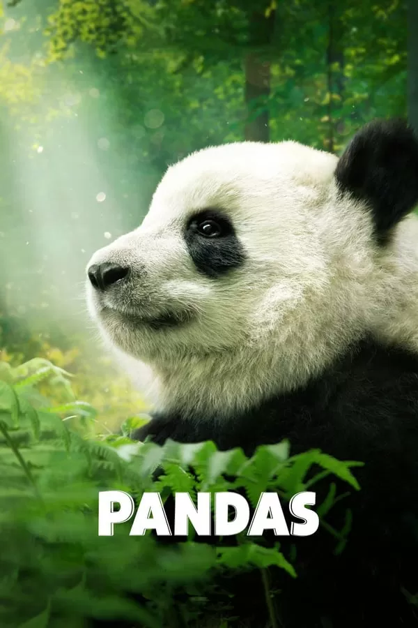 Pandas สารคดีแพนด้า