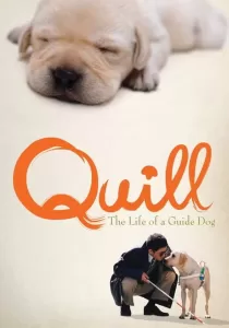 Quill The Life of a Guide Dog โฮ่งฮับ เจ้าตัวเนี้ยซี้ร้อยเปอร์เซ็นต์
