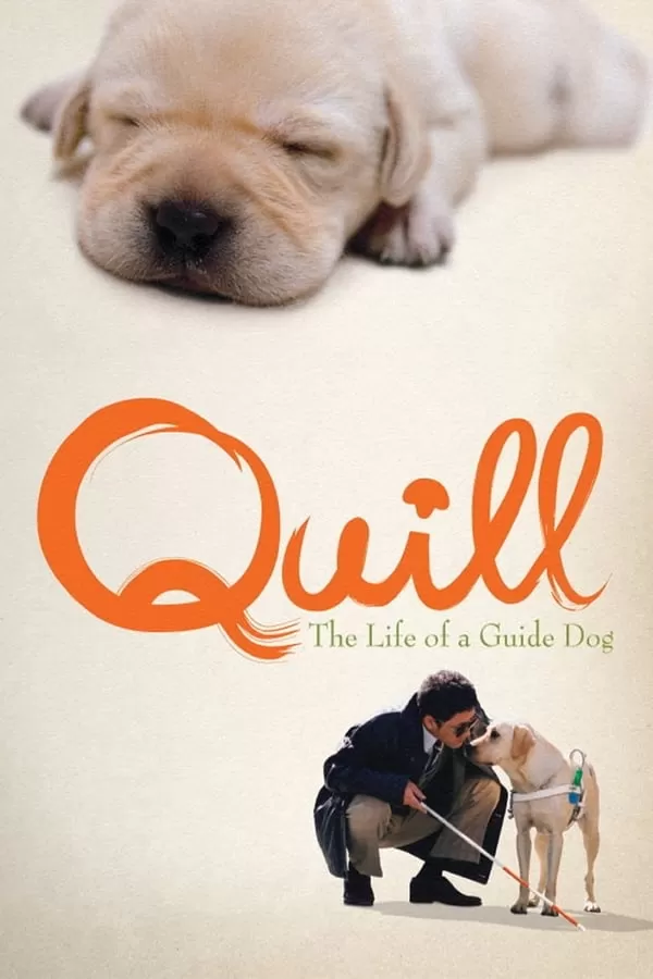 Quill The Life of a Guide Dog โฮ่งฮับ เจ้าตัวเนี้ยซี้ร้อยเปอร์เซ็นต์