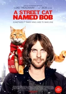 A Street Cat Named Bob บ๊อบ แมว เพื่อน คน