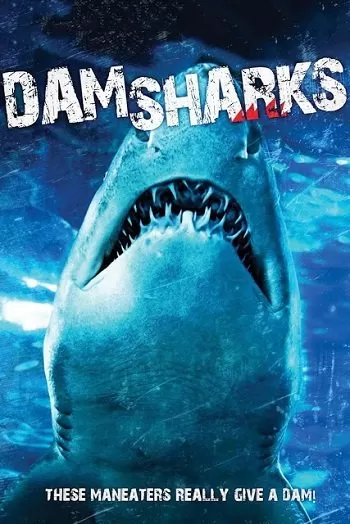 Dam Sharks