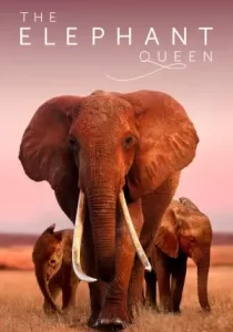 The Elephant Queen อัศจรรย์ราชินีแห่งช้าง