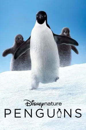 Penguins เพนกวิน