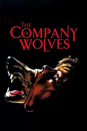 The Company of Wolves เขย่าขวัญสาวน้อยหมวกแดง