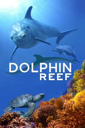 Dolphin Reef Disney+ อัศจรรย์ชีวิตของโลมา