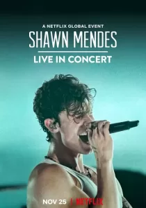 Shawn Mendes Live in Concert