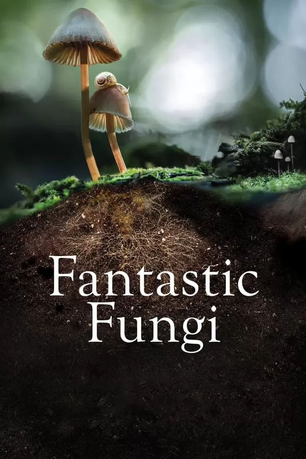 Fantastic Fungi เห็ดมหัศจรรย์