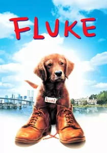 Fluke เกิดใหม่กลายเป็นหมา