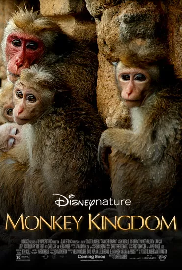 Disneynature Monkey Kingdom อาณาจักรลิง จากป่าไม้สู่ป่าเมือง