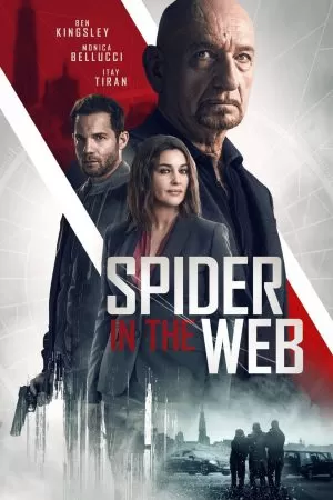 Spider in the Web สไปเดอร์ อิน เดอะเว็บ