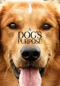 A Dog’s Purpose หมา เป้าหมาย และเด็กชายของผม