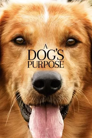 A Dog’s Purpose หมา เป้าหมาย และเด็กชายของผม