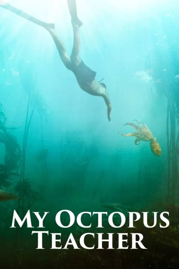 My Octopus Teacher | Netflix บทเรียนจากปลาหมึก