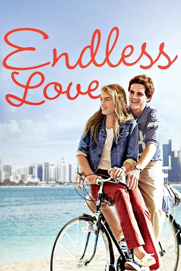 Endless Love วุ่นรักไม่รู้จบ