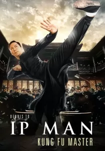 Ip Man Kung Fu Master