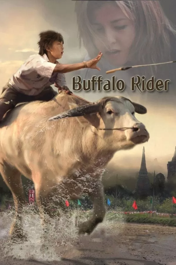 Buffalo Rider ประเพณีวิ่งควาย