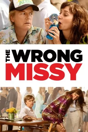 The Wrong Missy | NETFLIX มิสซี่ สาวในฝัน