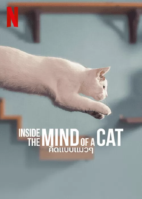 Inside the Mind of a Cat  คิดแบบแมวๆ