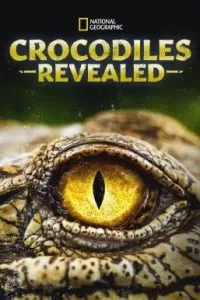 Crocodiles Revealed