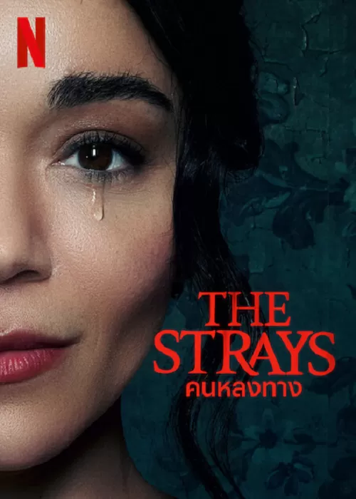 The Strays คนหลงทาง